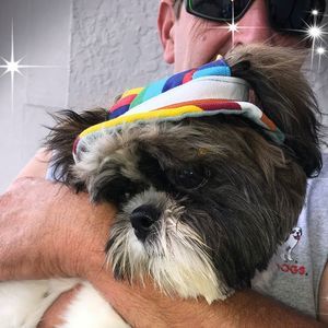 Meet your Posher, Beth